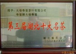 国产黄站,探索中国网络文化新趋势