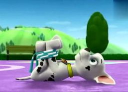 娱乐吃瓜君汪汪,揭秘娱乐圈那些不为人知的幕后故事