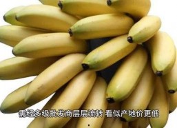 大香蕉国产在线观看